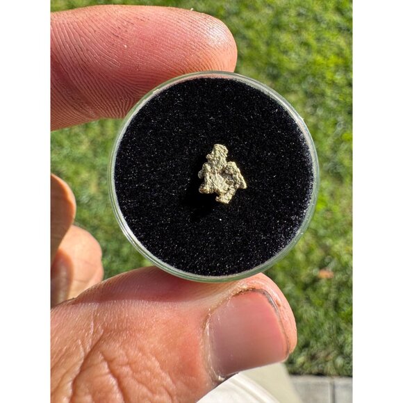 California Native Gold Crystal - 0.27 grams - Picture 5 of 6